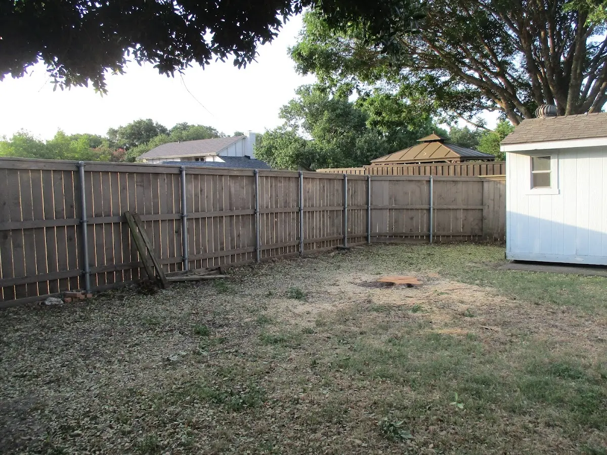 Cleared yard after professional tree removal in Lexington Park