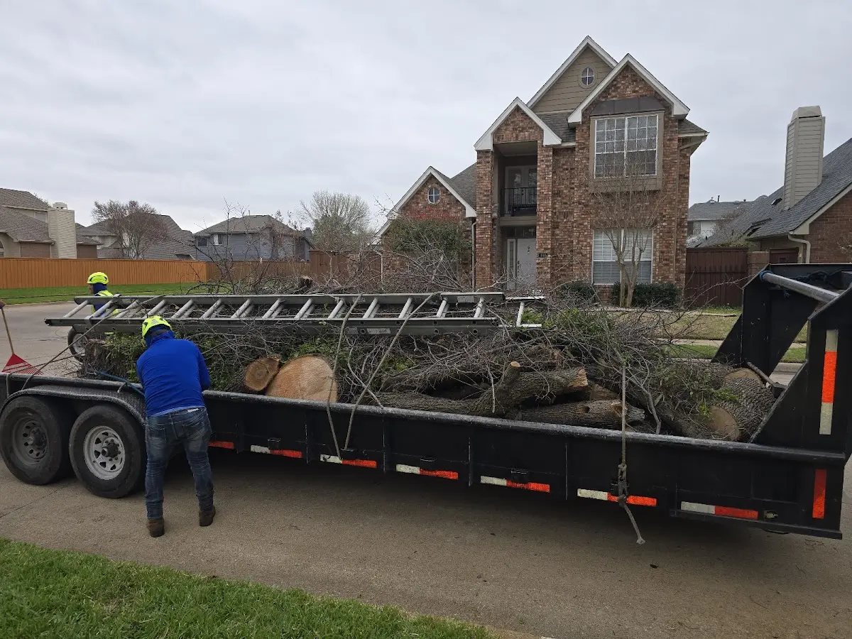 Expert Crown Reduction with proper safety equipment in Lexington Park